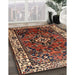 Traditional Brown Persian Rug in Family Room, tr2138