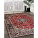 Traditional Saffron Red Medallion Rug in Family Room, tr2143