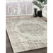 Traditional White Gold Persian Rug in Family Room, tr2147