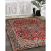 Traditional Saffron Red Medallion Rug in Family Room, tr2160