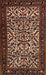 Traditional Orange Brown Persian Rug, tr2163