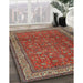 Machine Washable Traditional Dark Almond Brown Rug in a Family Room, wshtr2164