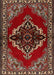 Traditional Red Medallion Rug, tr2169