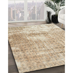 Traditional Brown Persian Rug in Family Room, tr216