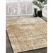 Machine Washable Traditional Brown Rug in a Family Room, wshtr216