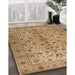 Machine Washable Traditional Light Brown Rug in a Family Room, wshtr2184