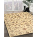 Machine Washable Traditional Peru Brown Rug in a Family Room, wshtr2185