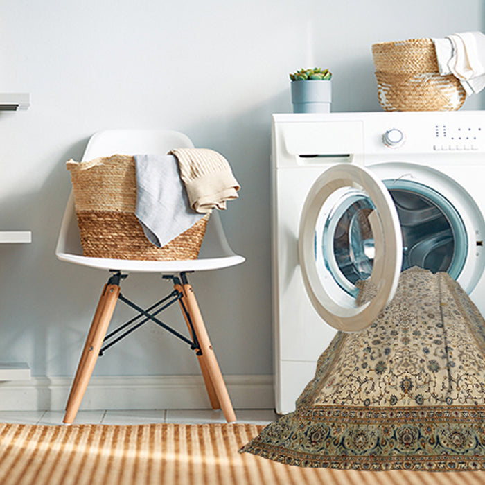 Machine Washable Traditional Brown Rug in a Washing Machine, wshtr218