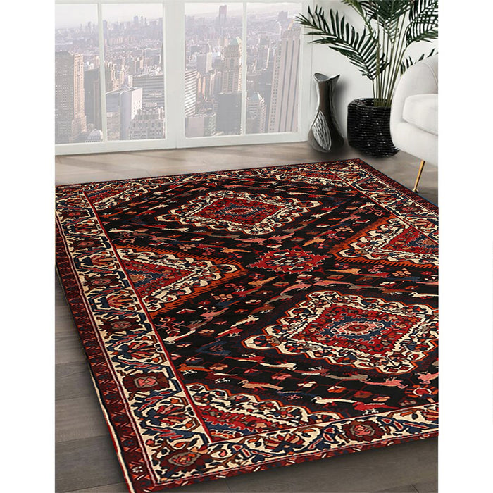 Traditional Brown Persian Rug in Family Room, tr2210
