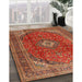 Machine Washable Traditional Bronze Brown Rug in a Family Room, wshtr2227