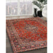 Traditional Orange Salmon Pink Medallion Rug in Family Room, tr2228