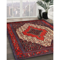 Traditional Brown Persian Rug, tr2229