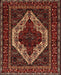 Traditional Sienna Brown Persian Rug, tr2230