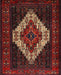 Machine Washable Traditional Sepia Brown Rug, wshtr2236