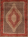 Machine Washable Traditional Tomato Red Rug, wshtr2238