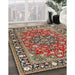 Traditional Light French Beige Brown Persian Rug in Family Room, tr2246