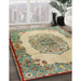 Traditional Brown Medallion Rug in Family Room, tr2247