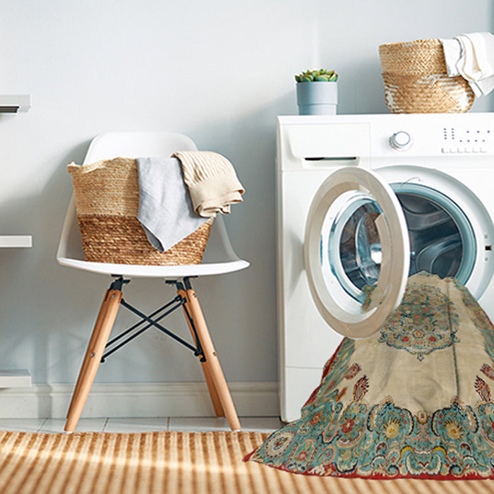 Machine Washable Traditional Brown Rug in a Washing Machine, wshtr2247