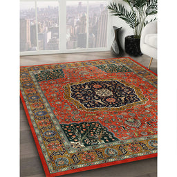 Traditional Brown Persian Rug in Family Room, tr2249