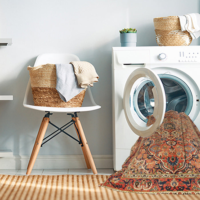 Machine Washable Traditional Sand Brown Rug in a Washing Machine, wshtr2250