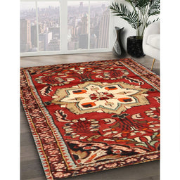 Traditional Red Persian Rug in Family Room, tr2252