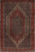 Machine Washable Traditional Brown Rug, wshtr2260