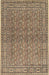 Machine Washable Traditional Sepia Brown Rug, wshtr2267