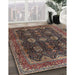 Machine Washable Traditional Dark Almond Brown Rug in a Family Room, wshtr2268