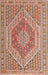 Machine Washable Traditional Brown Rug, wshtr226