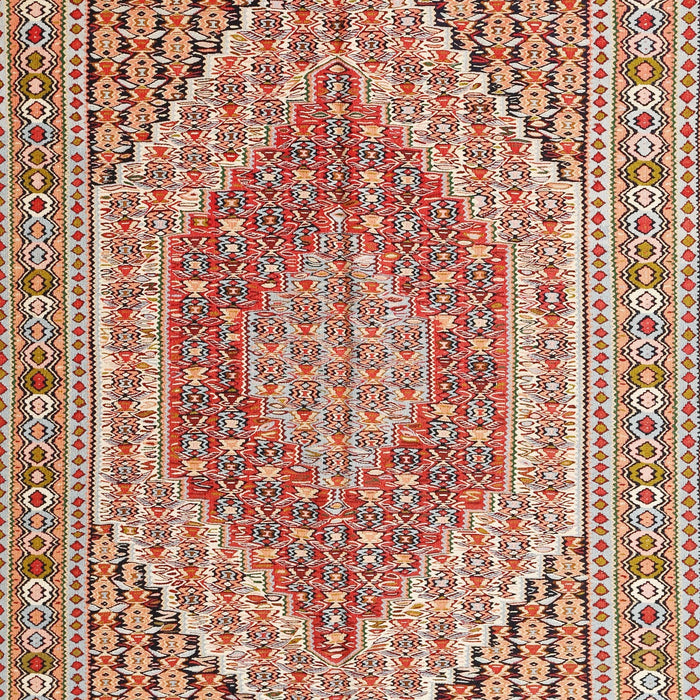 Traditional Brown Persian Rug, tr226