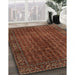 Machine Washable Traditional Saffron Red Rug in a Family Room, wshtr2272