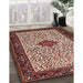 Traditional Light French Beige Brown Persian Rug in Family Room, tr2283