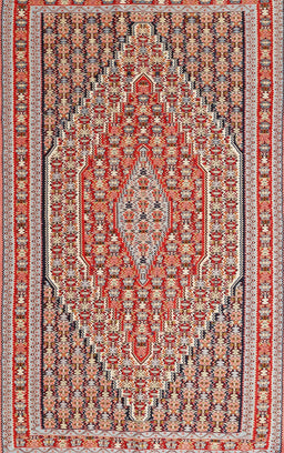 Machine Washable Traditional Fire Brick Red Rug, wshtr228