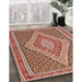Machine Washable Traditional Brown Rug in a Family Room, wshtr229