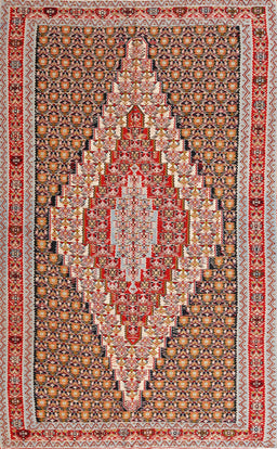 Machine Washable Traditional Brown Rug, wshtr229