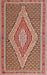 Machine Washable Traditional Brown Rug, wshtr229