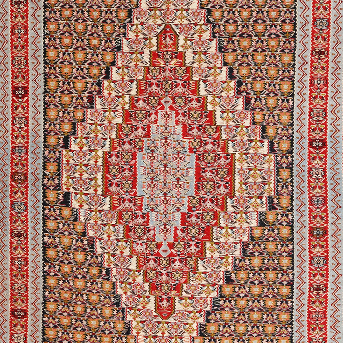 Traditional Brown Southwestern Rug, tr229