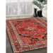 Traditional Orange Salmon Pink Persian Rug in Family Room, tr2306