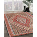 Traditional Fire Brick Red Persian Rug in Family Room, tr230