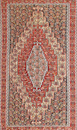 Machine Washable Traditional Fire Brick Red Rug, wshtr230