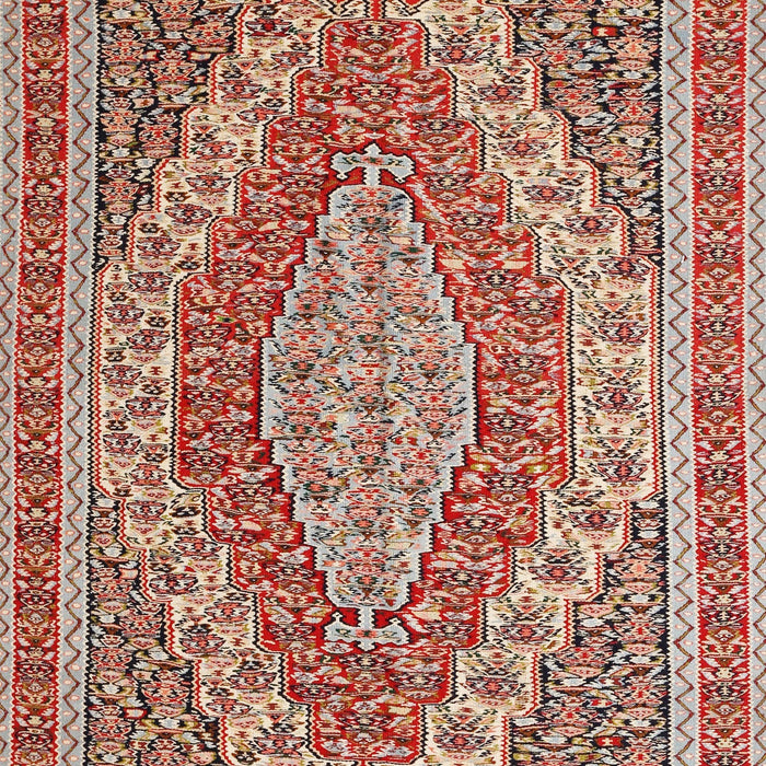 Machine Washable Traditional Fire Brick Red Rug, wshtr230