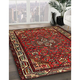 Traditional Brown Persian Rug in Family Room, tr2325