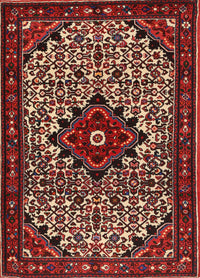 Machine Washable Traditional Dark Almond Brown Rug, wshtr2338