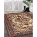 Traditional Light French Beige Brown Persian Rug in Family Room, tr2341
