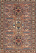 Traditional Light French Beige Brown Persian Rug, tr2349