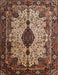 Machine Washable Traditional Camel Brown Rug, wshtr235