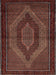 Machine Washable Traditional Sienna Brown Rug, wshtr2425