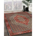 Machine Washable Traditional Saffron Red Rug in a Family Room, wshtr2431