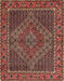 Traditional Saffron Red Persian Rug, tr2433