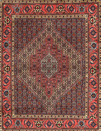 Machine Washable Traditional Saffron Red Rug, wshtr2433